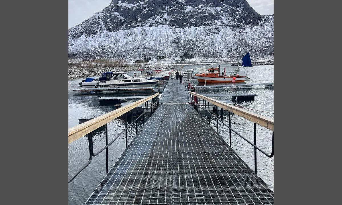 Grunnfarnes