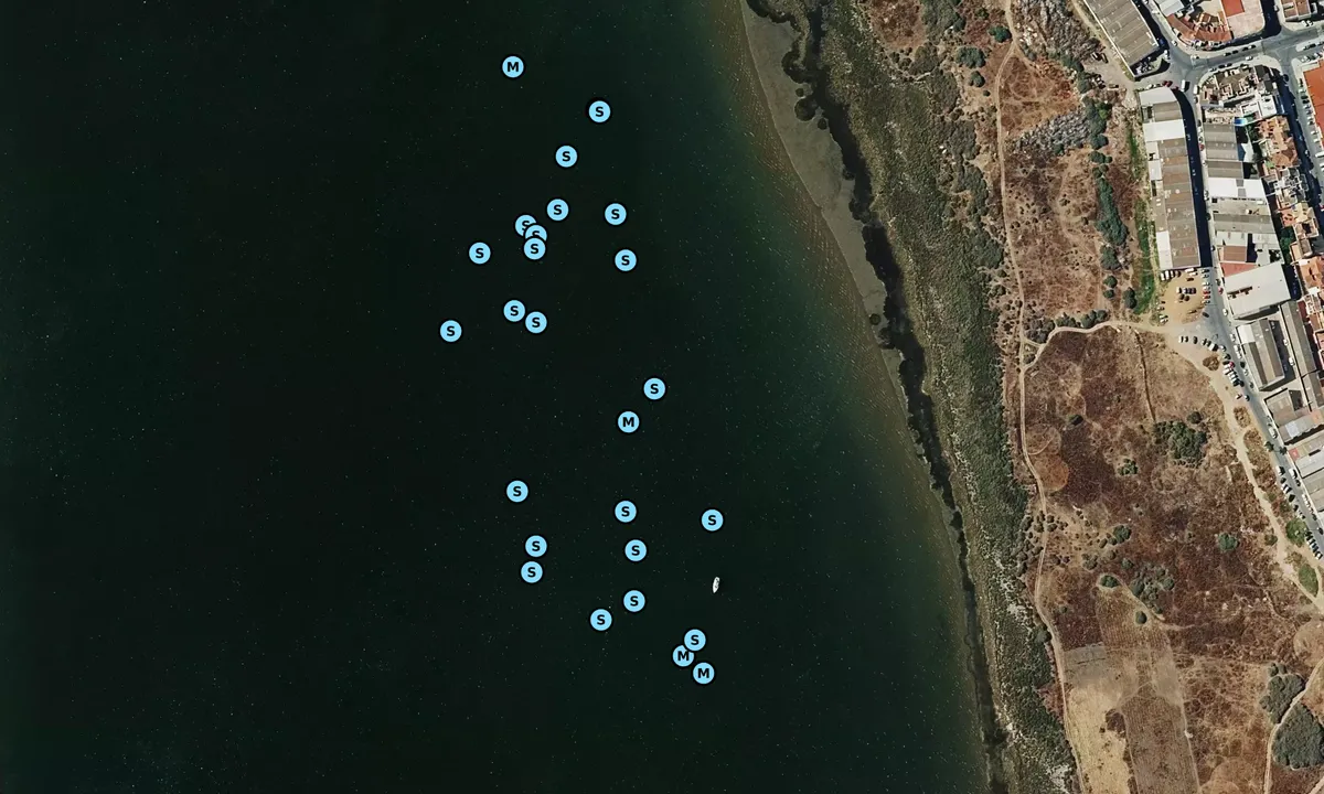 Satelite image of Guadiana - Ayamonte
