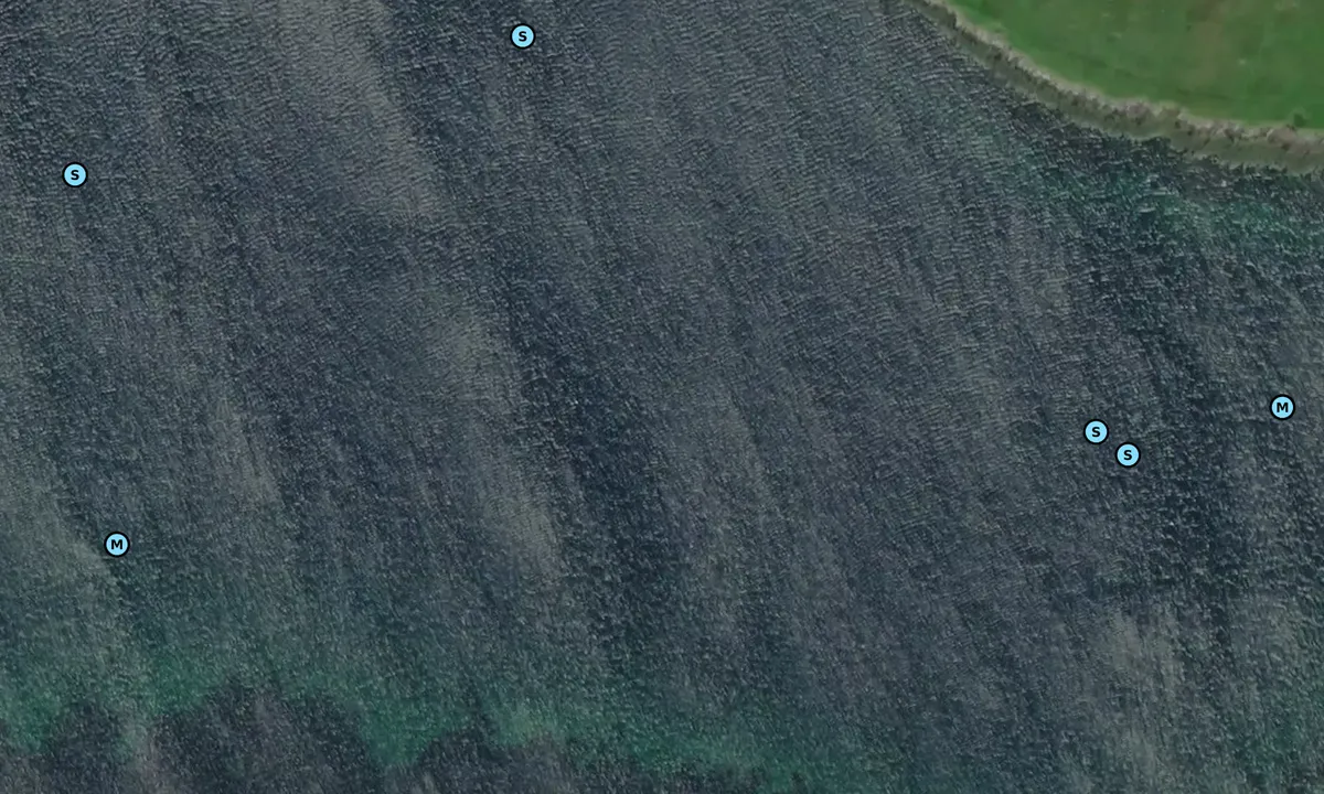 Satelite image of Gunista