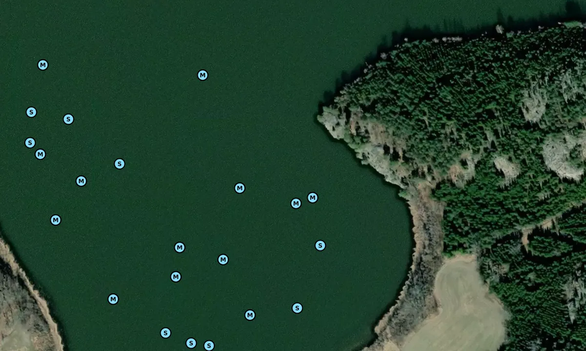 Satelite image of Gunnsvick-viken