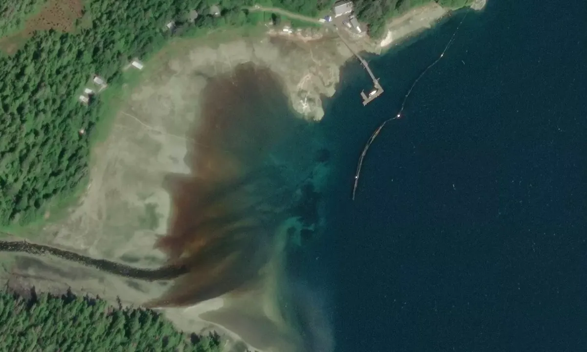 Satelite image of Gwent Cove