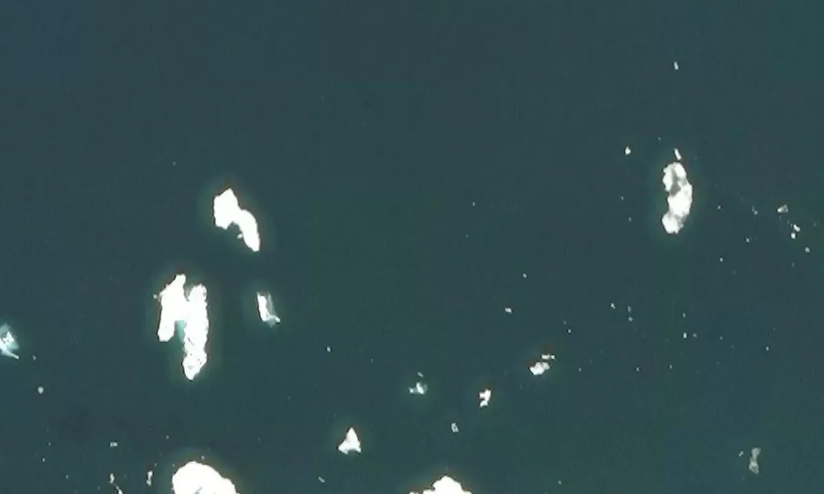 Flyfoto av Habenichtbukta