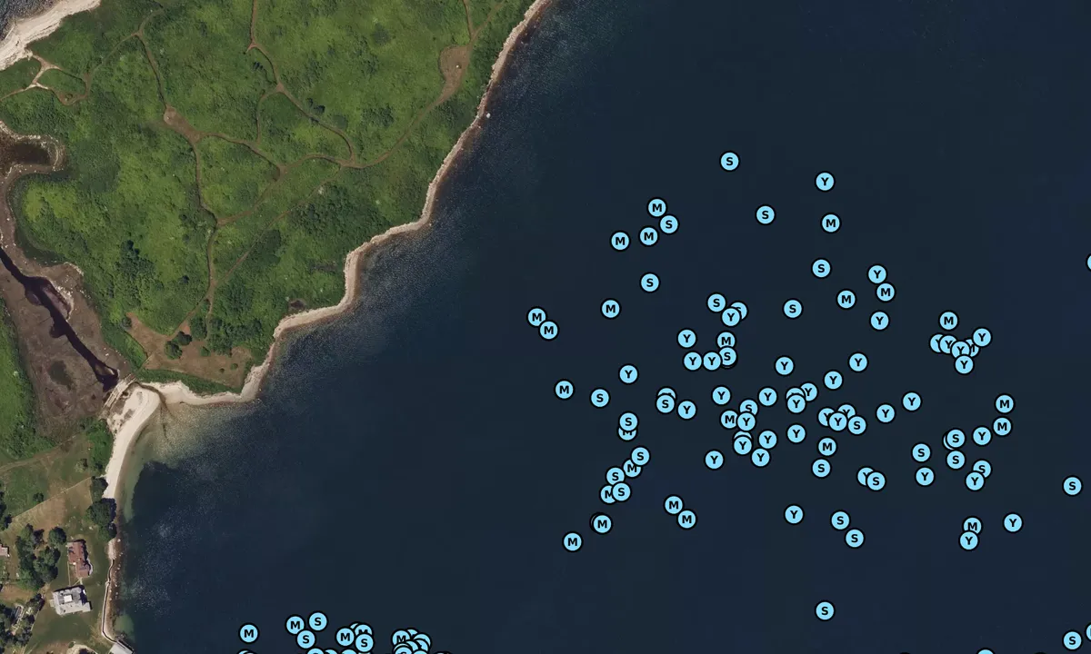 Satelite image of Hadley Harbor Outer - 2
