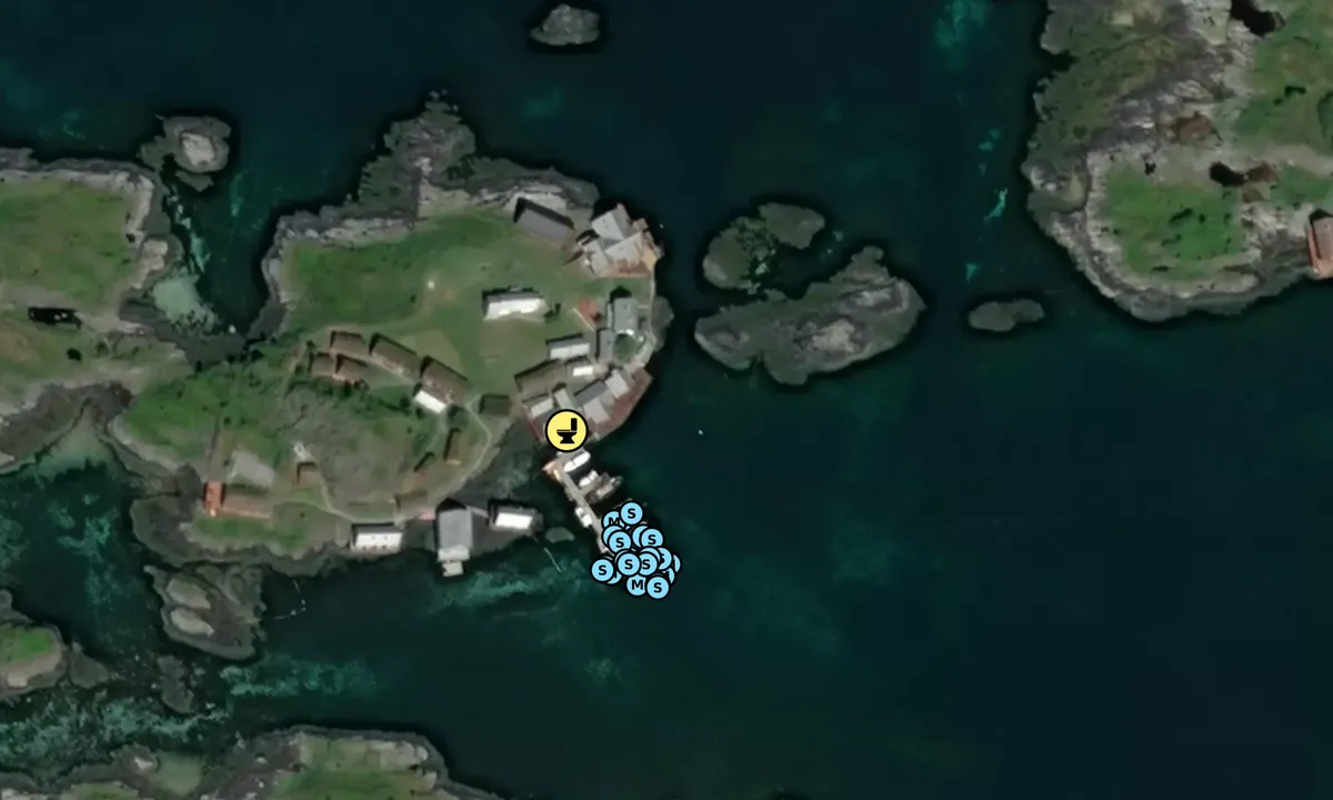 Satelite image of Håholmen