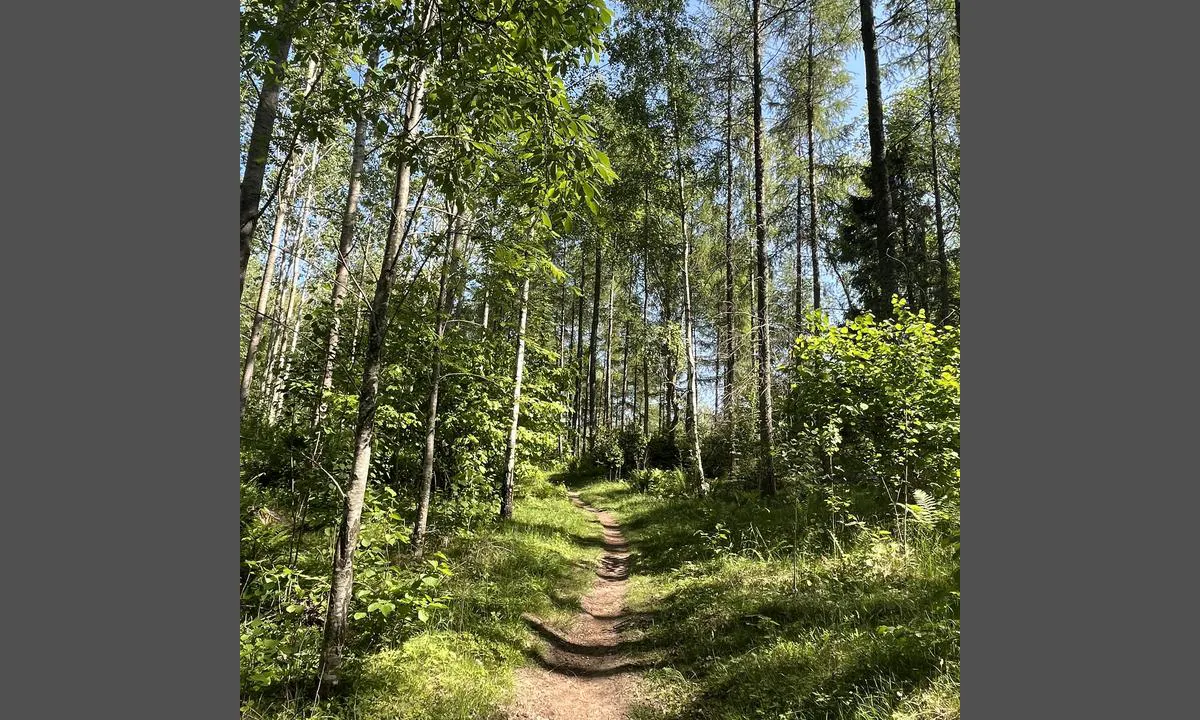 Hällekis - Hönsäter: Kinnekulle er ca 5-6 km unna. Flott tur! Mange stier å velge mellom, kun et par km på asfalt.