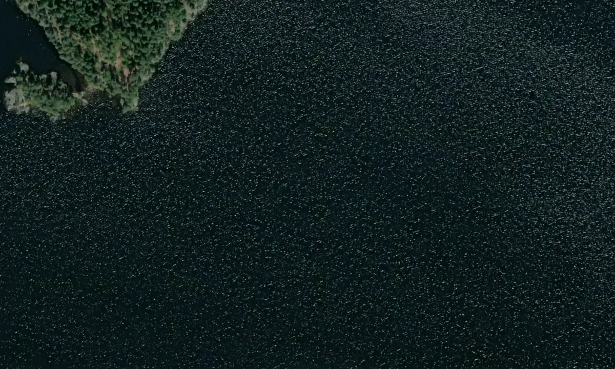 Flyfoto av Hallön