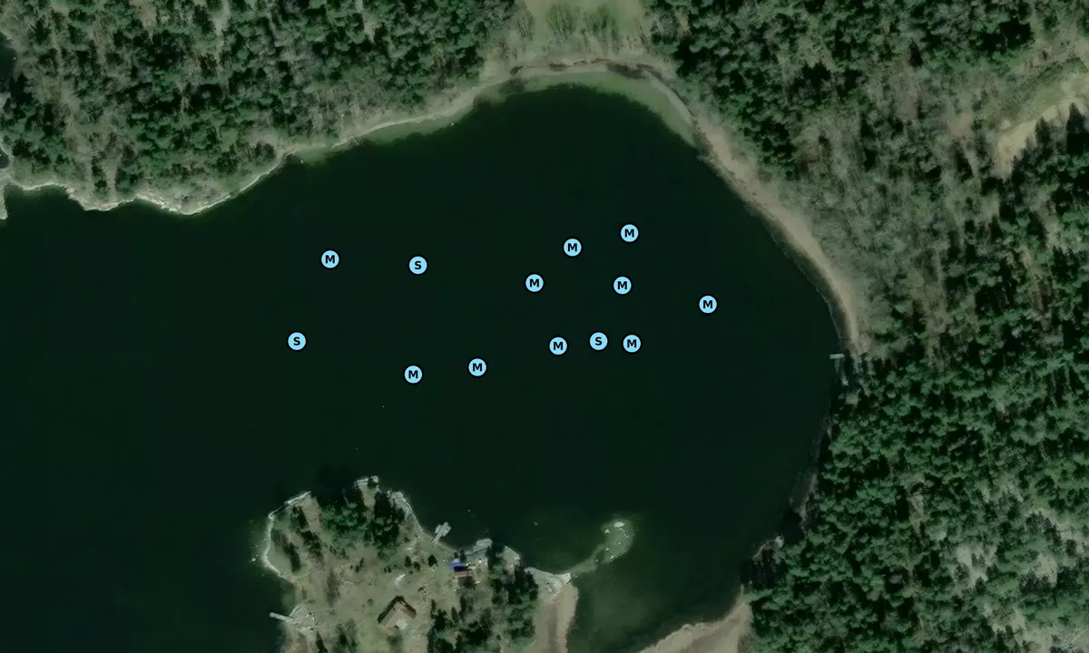 Satelite image of Hallonskäret