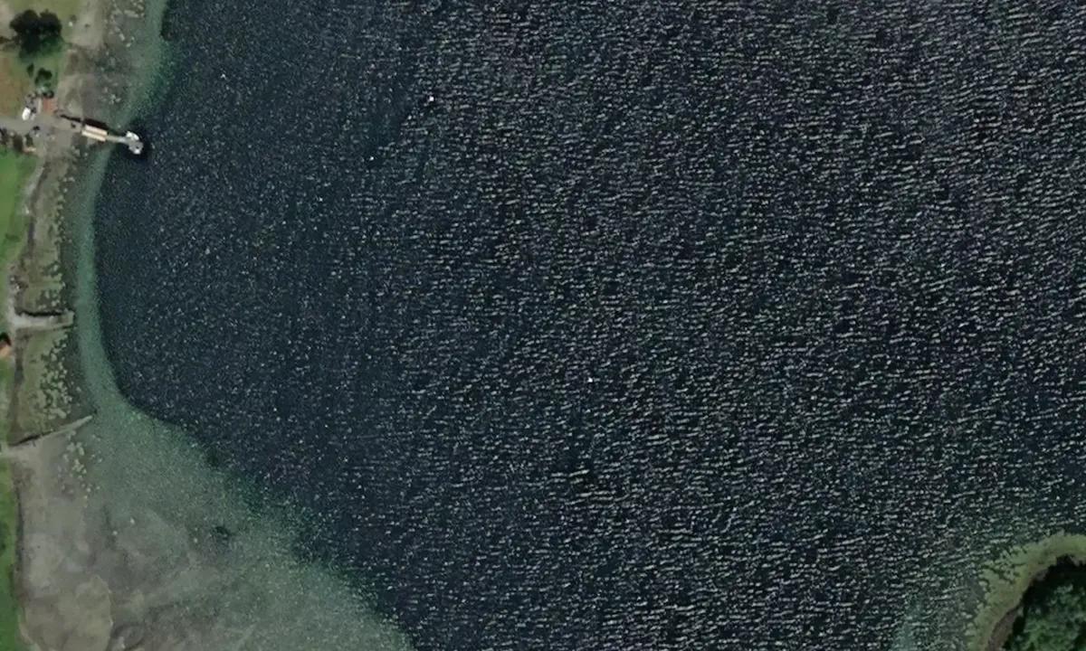 Satelite image of Halsbukta