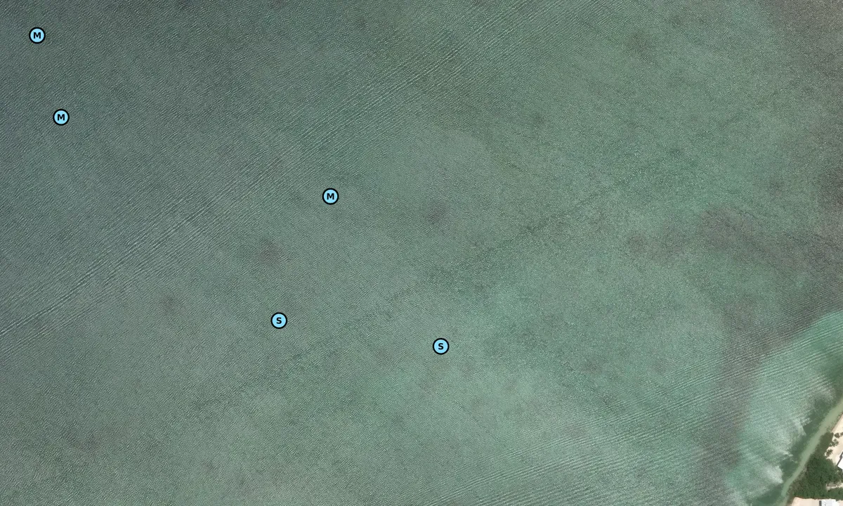 Satelite image of Hammer Point