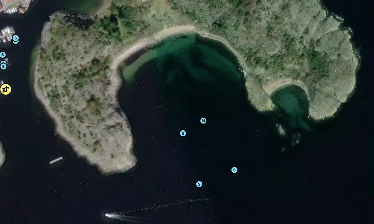 Satelite image of Hamneholmen