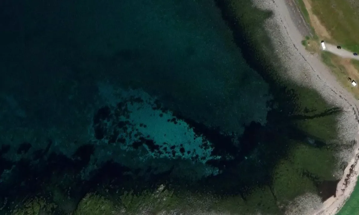 Sjåvika: Satelite image of Hamningberg Vest