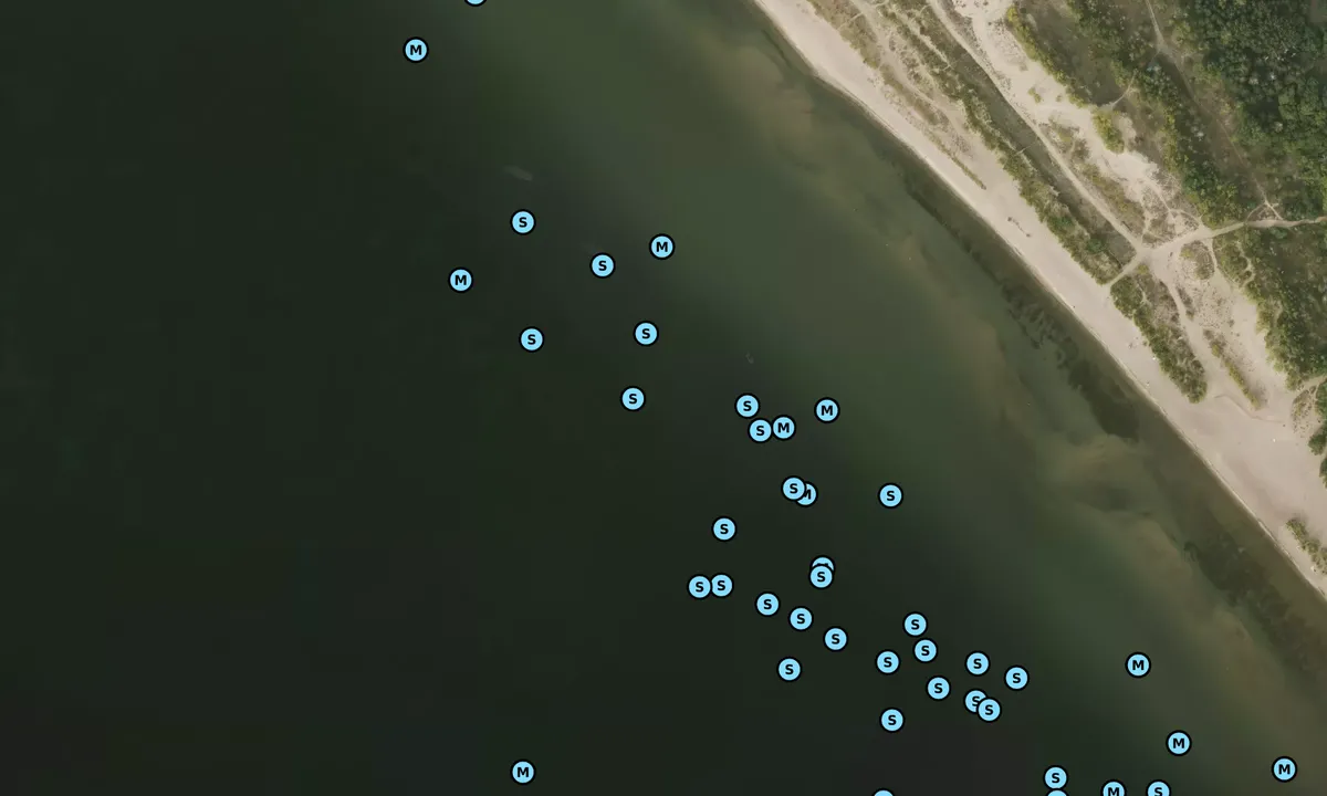 Satelite image of Hanlan's Point Beach