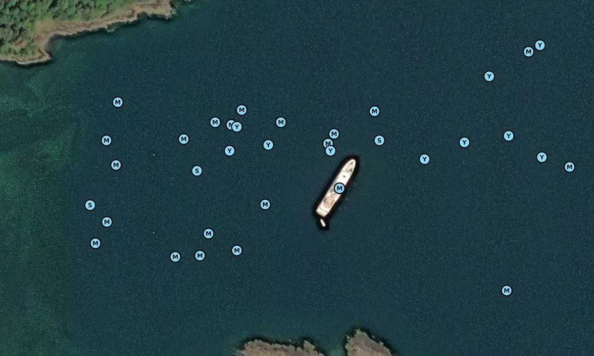 Satelite image of Hanus Bay 1