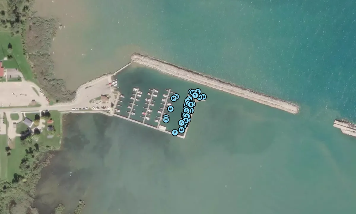 Satelite image of Harbor Beach Municipal Marina