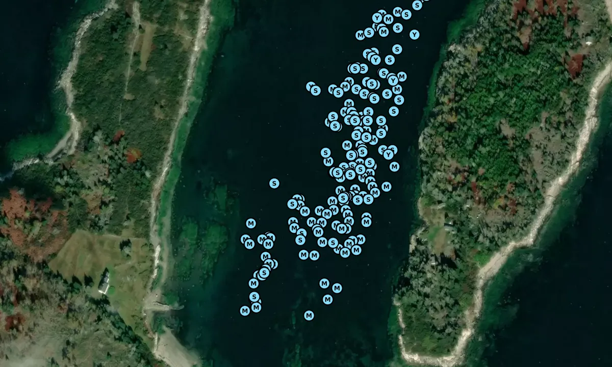 Satelite image of Harbor Island
