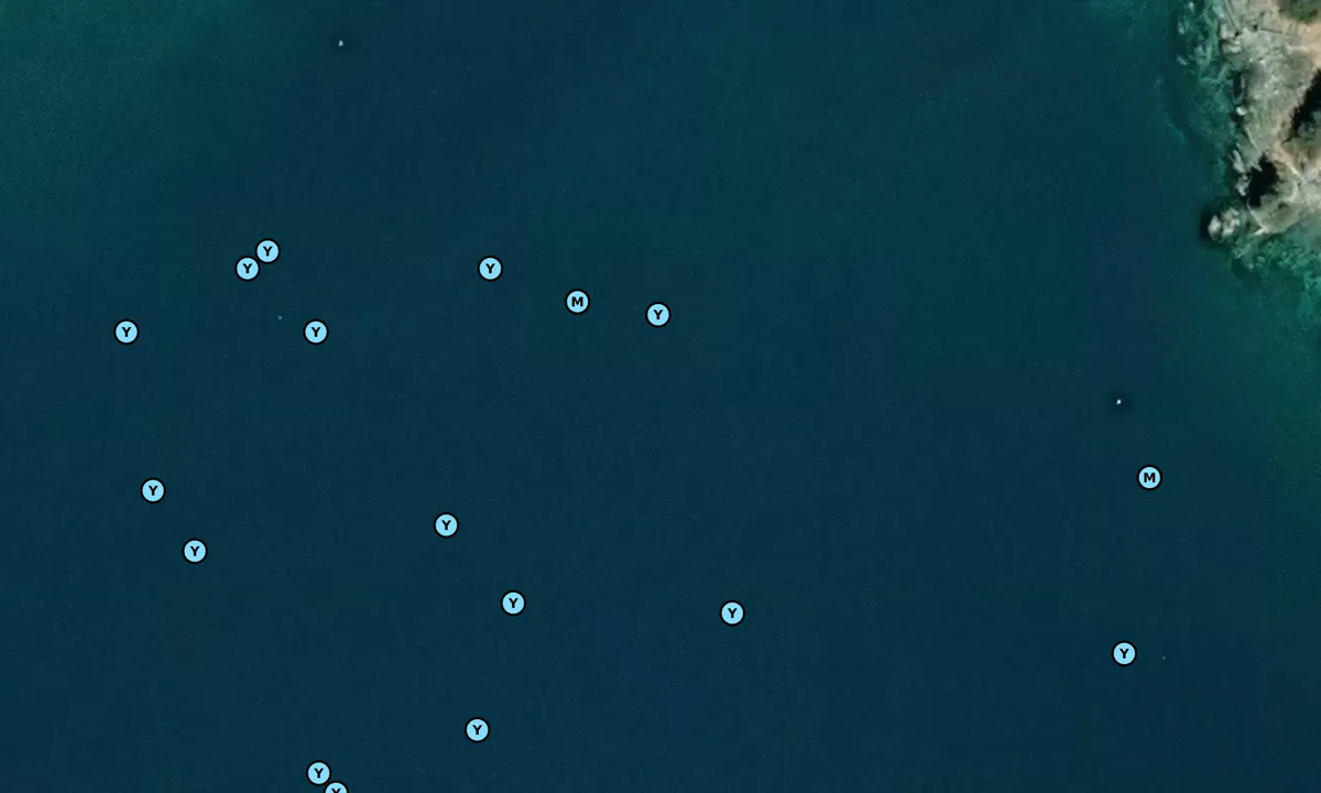 Satelite image of Harbor Island - Petersburg Borough