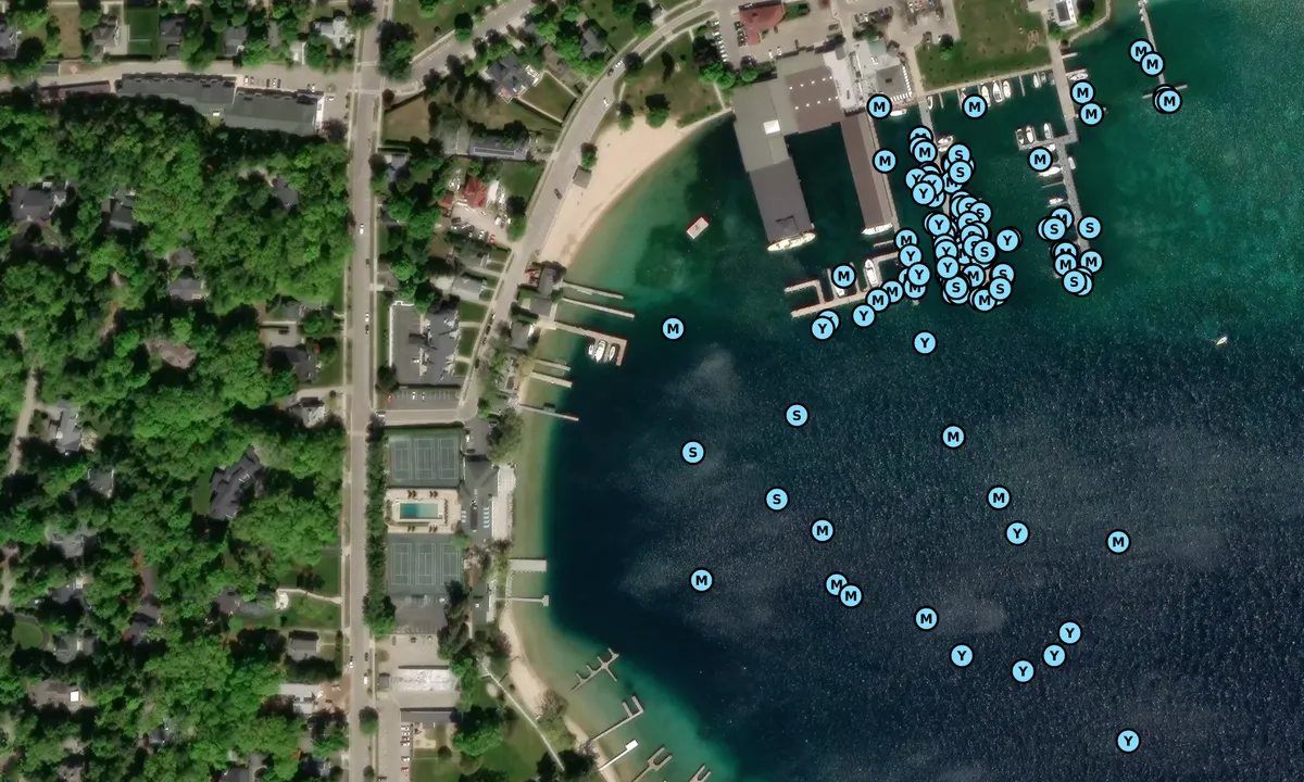 Satelite image of Harbor Springs