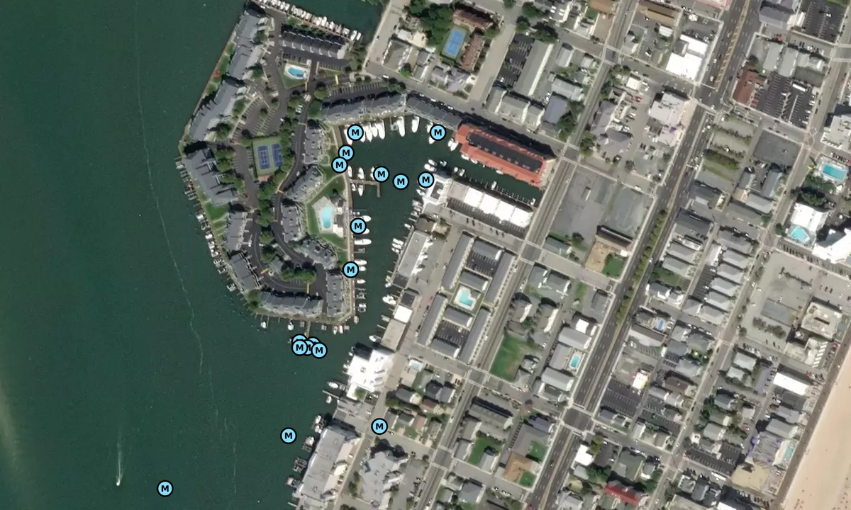 Satelite image of Harbour Island Marina