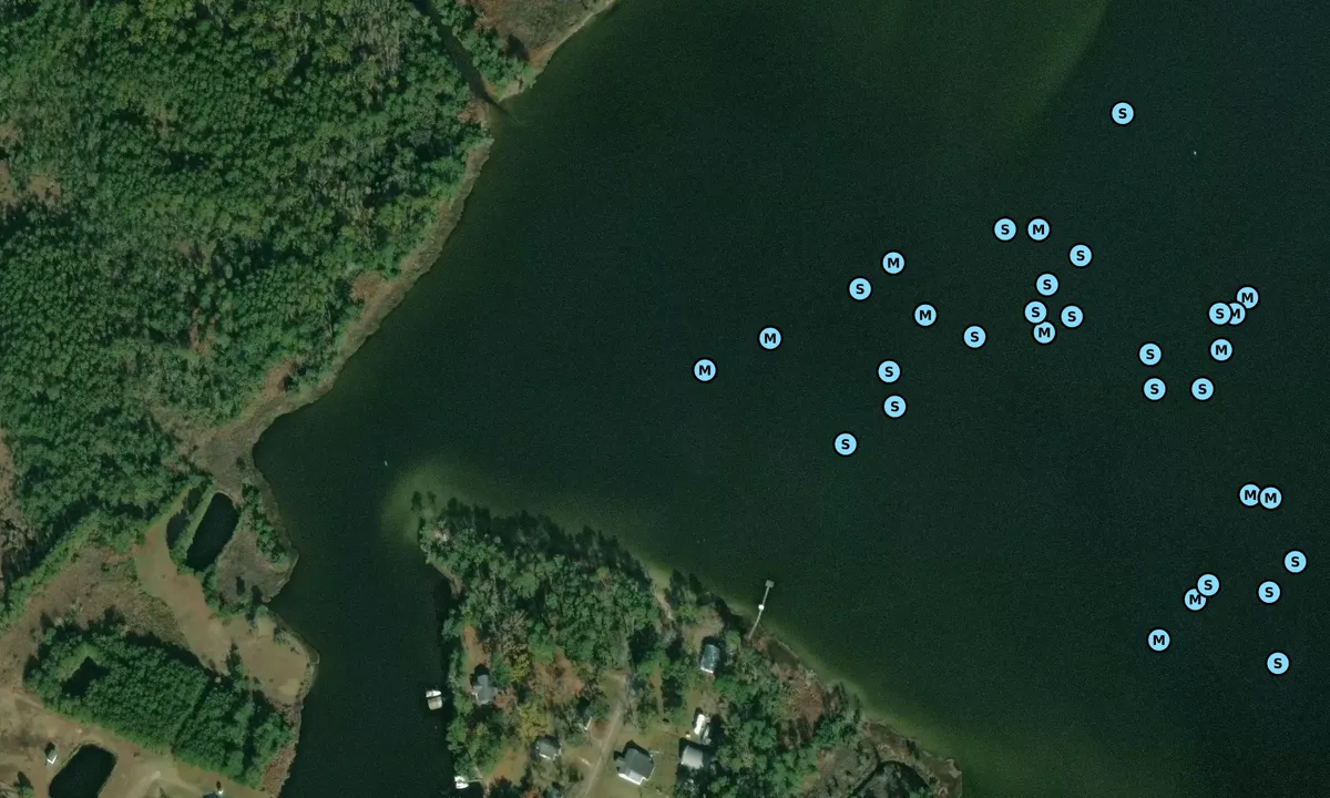 Satelite image of Hardy Creek