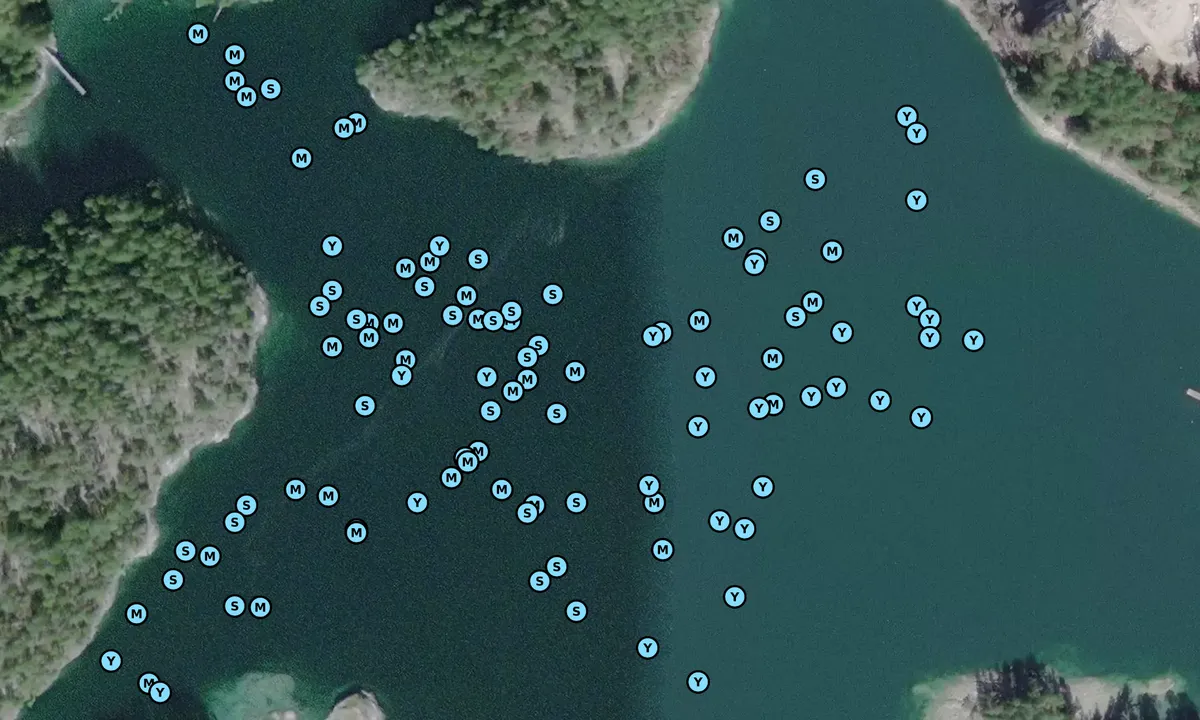 Satelite image of Hardy Island (Musket Island)