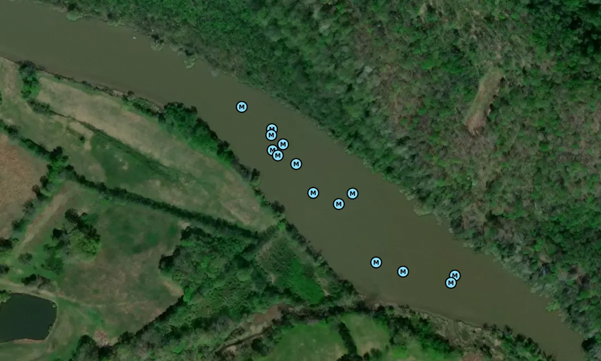Satelite image of Harpeth River