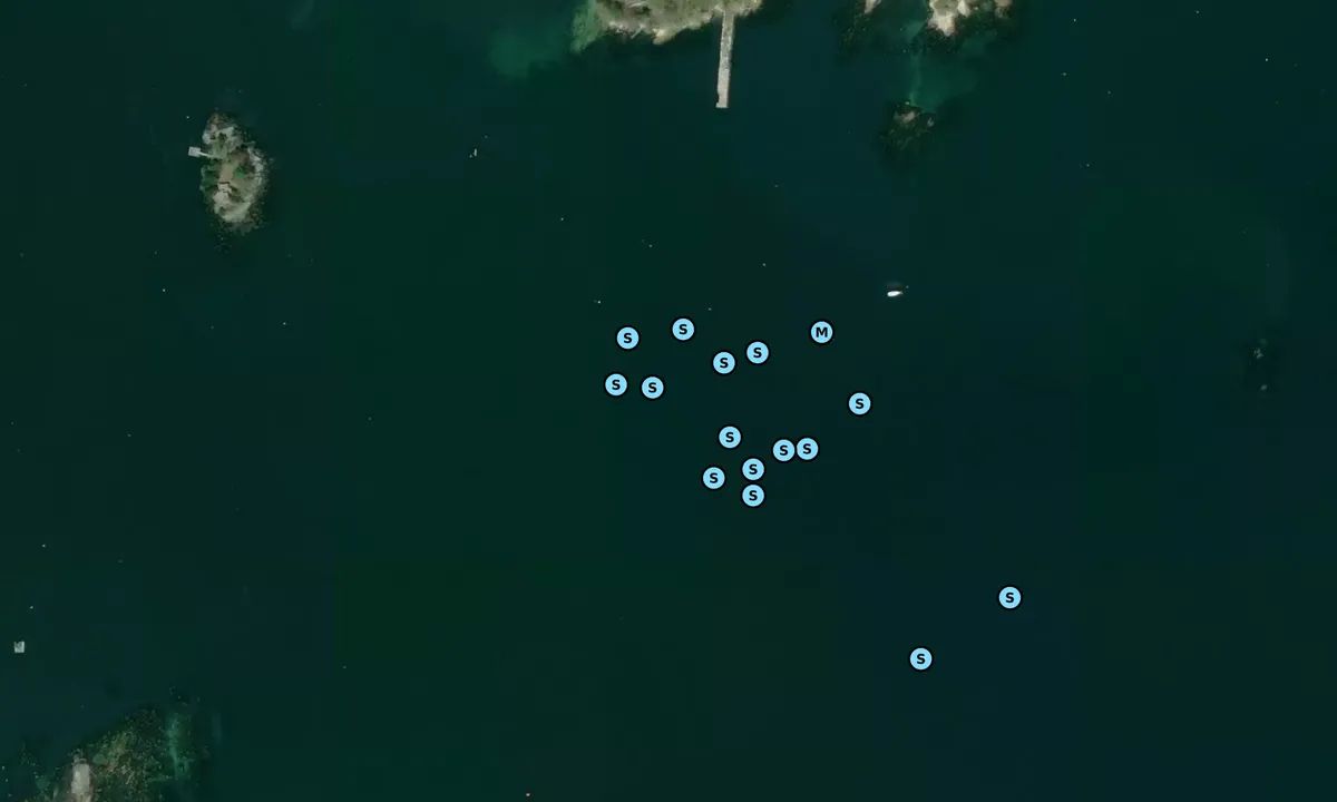 Satelite image of Harraseeket River Mouth