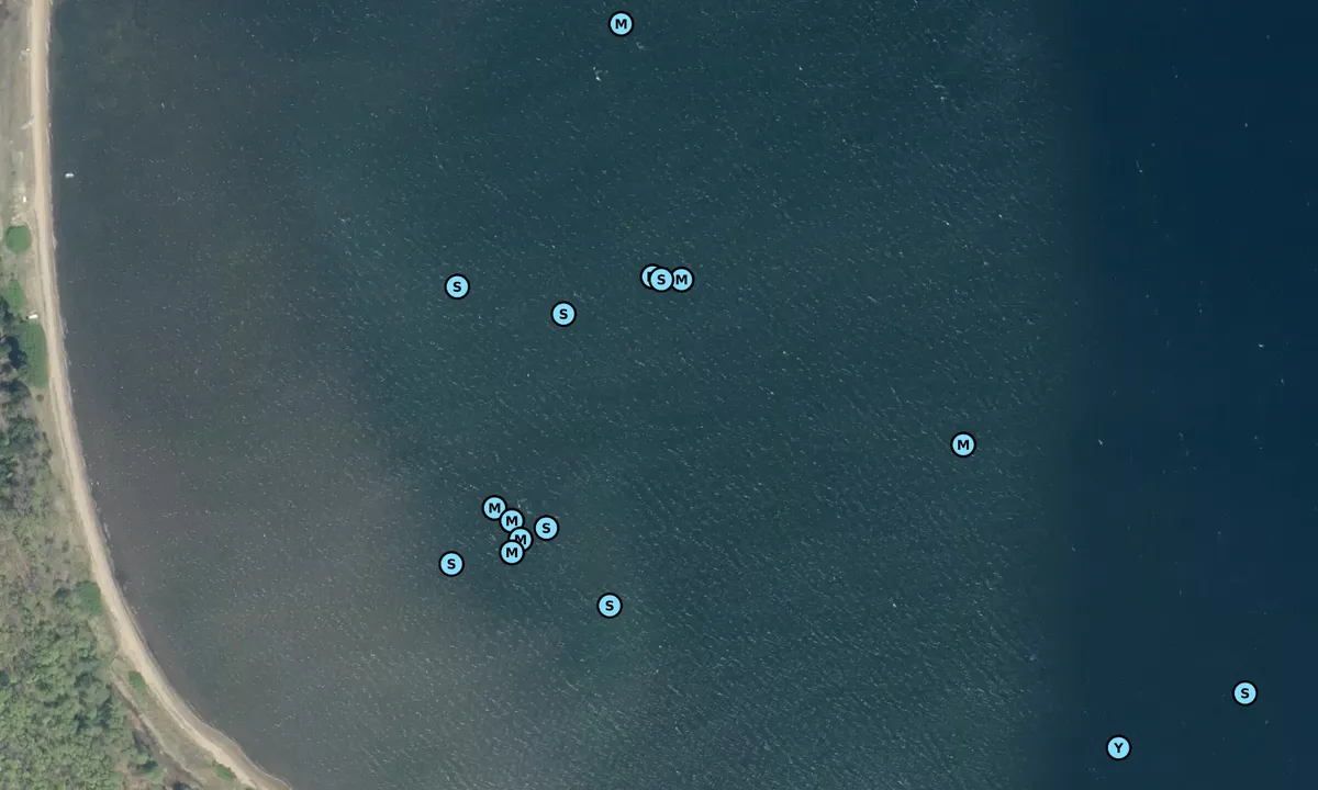 Satelite image of Harre Vig S bouy