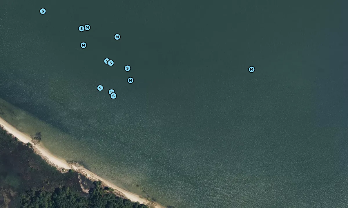 Satelite image of Harris River