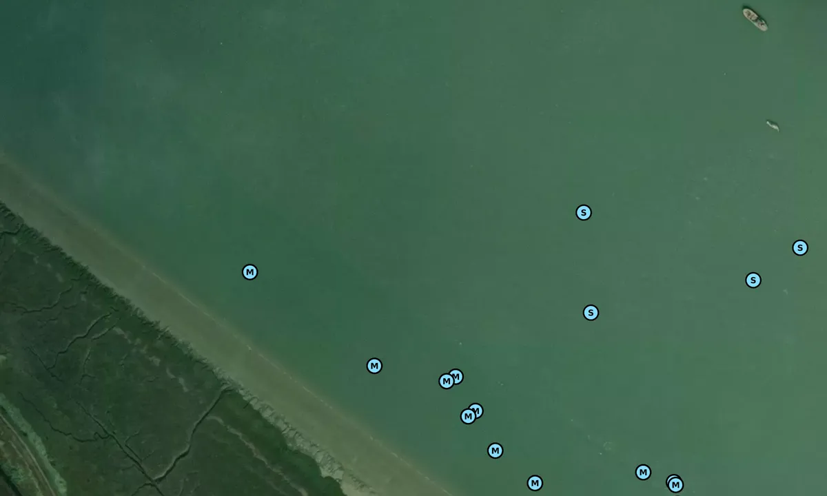 Satelite image of Harty Ferry