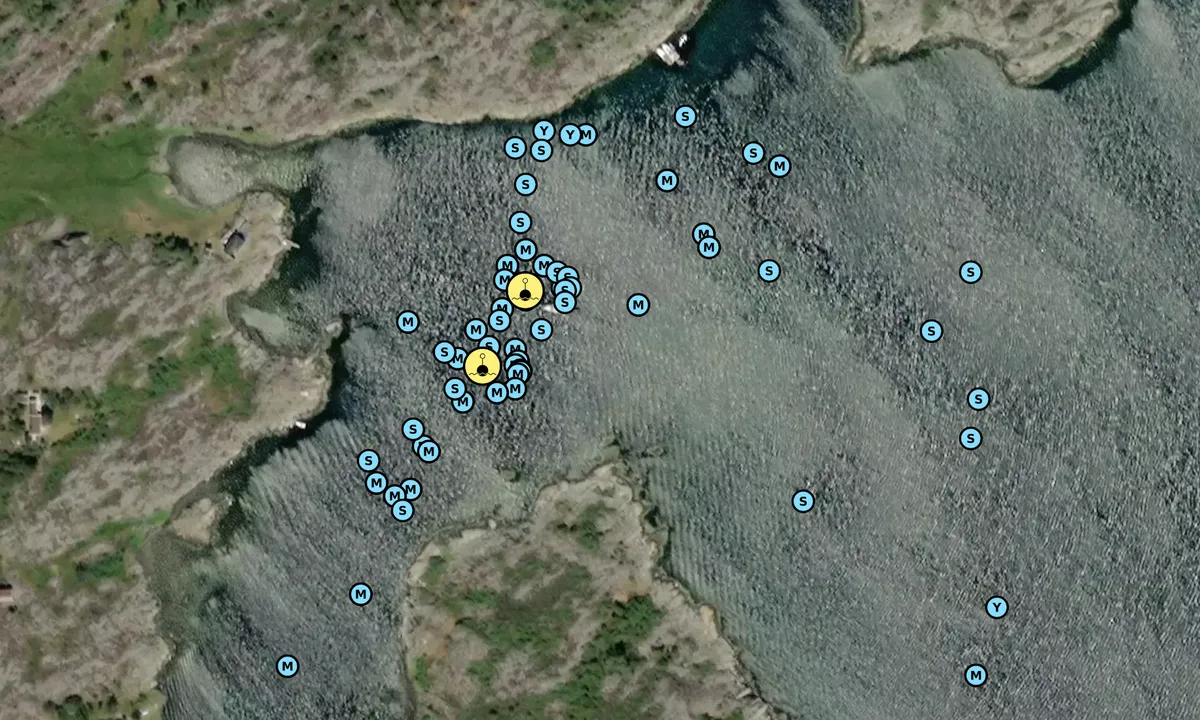 Satelite image of Hastholmen - SXK Västkust bouy