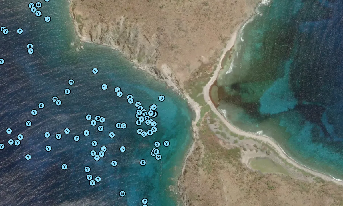 Satelite image of Haulover Bay
