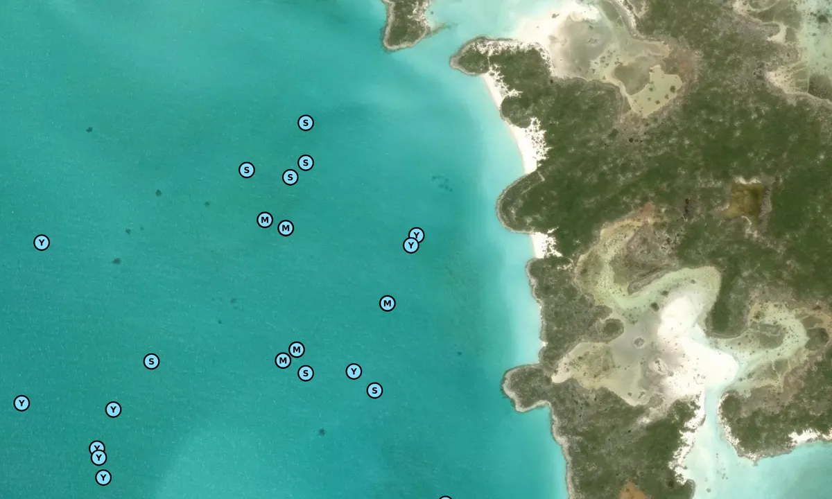 Satelite image of Hawksbill South Mooring Field (Exuma Cays Land & S