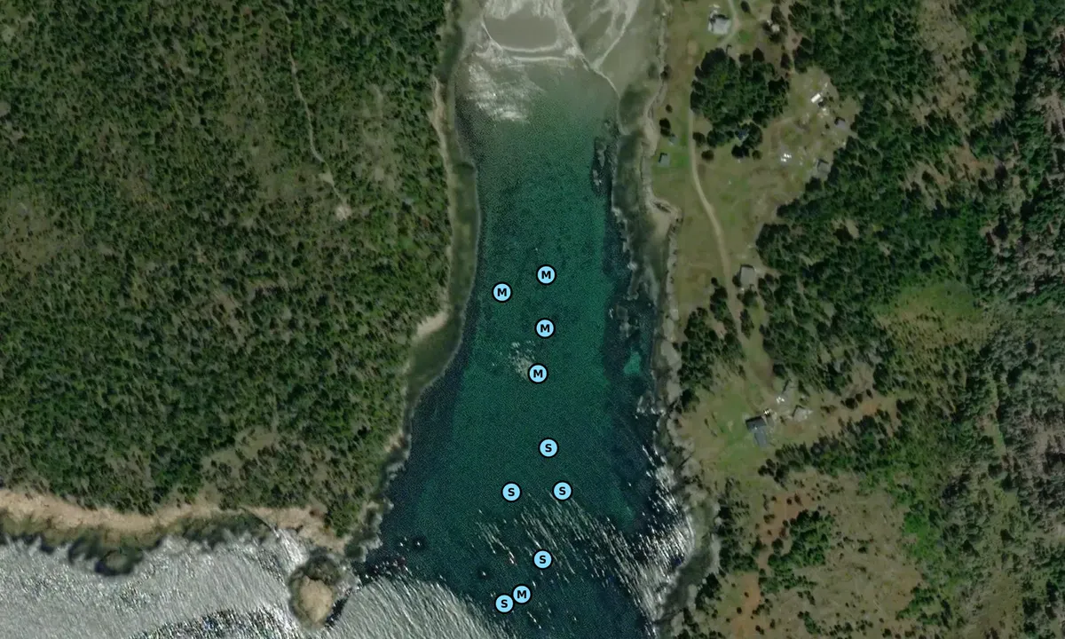 Satelite image of Head Harbor 1