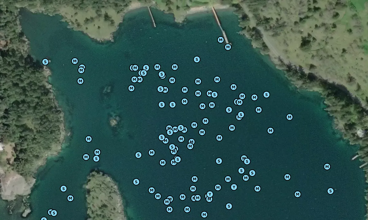 Satelite image of Head of West Sound