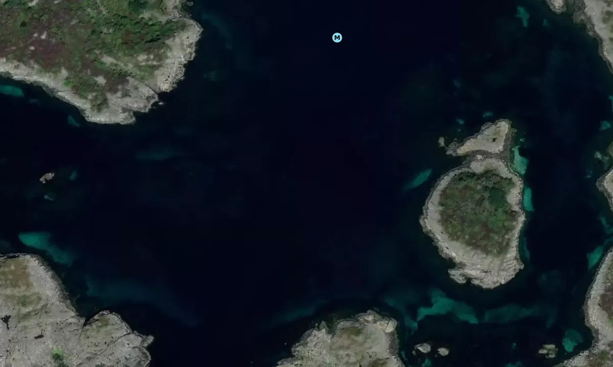 Satelite image of Hedleholmen