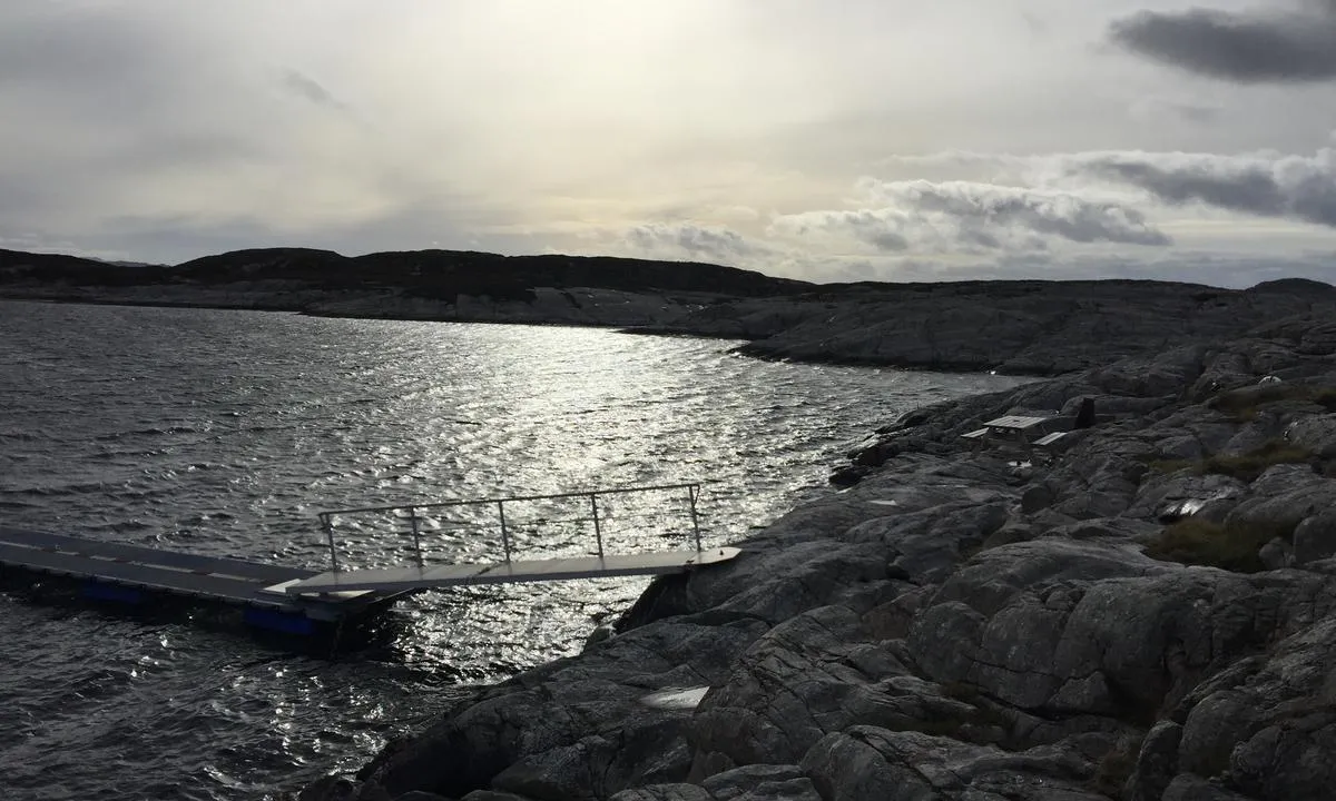 Skogsøy: Området sett mot sørvest.