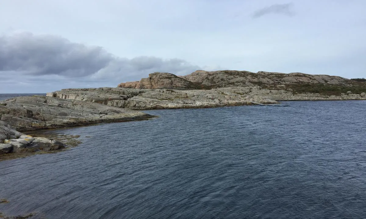 Området sett mot norvest, Skogsøytuva og havet i bakgrunnen.