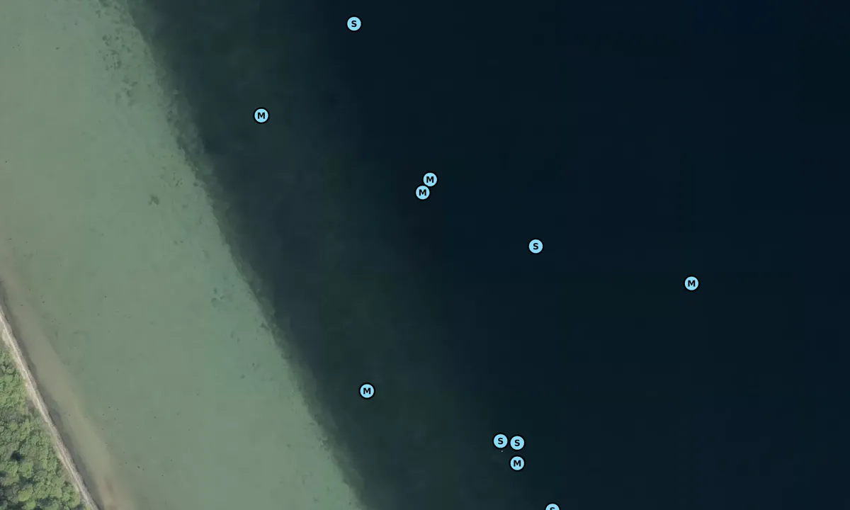 Satelite image of Helnæs Skov bouy