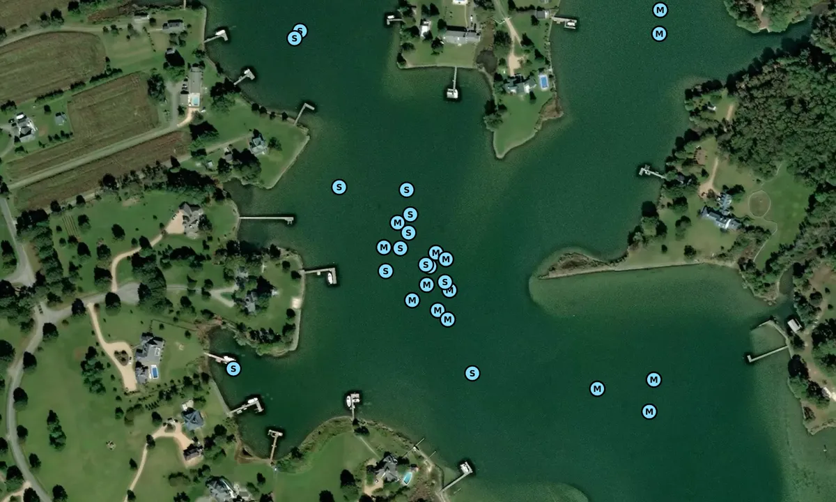 Satelite image of Henry's Creek