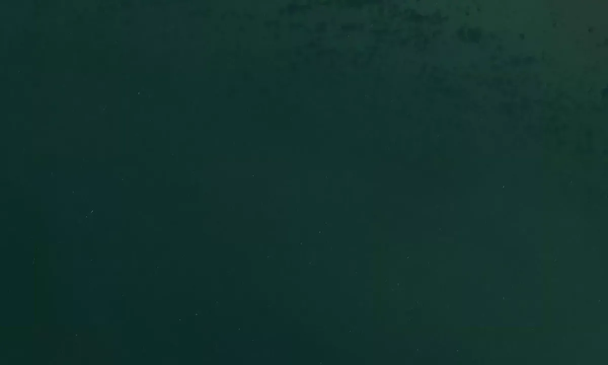 Satelite image of Hern Island