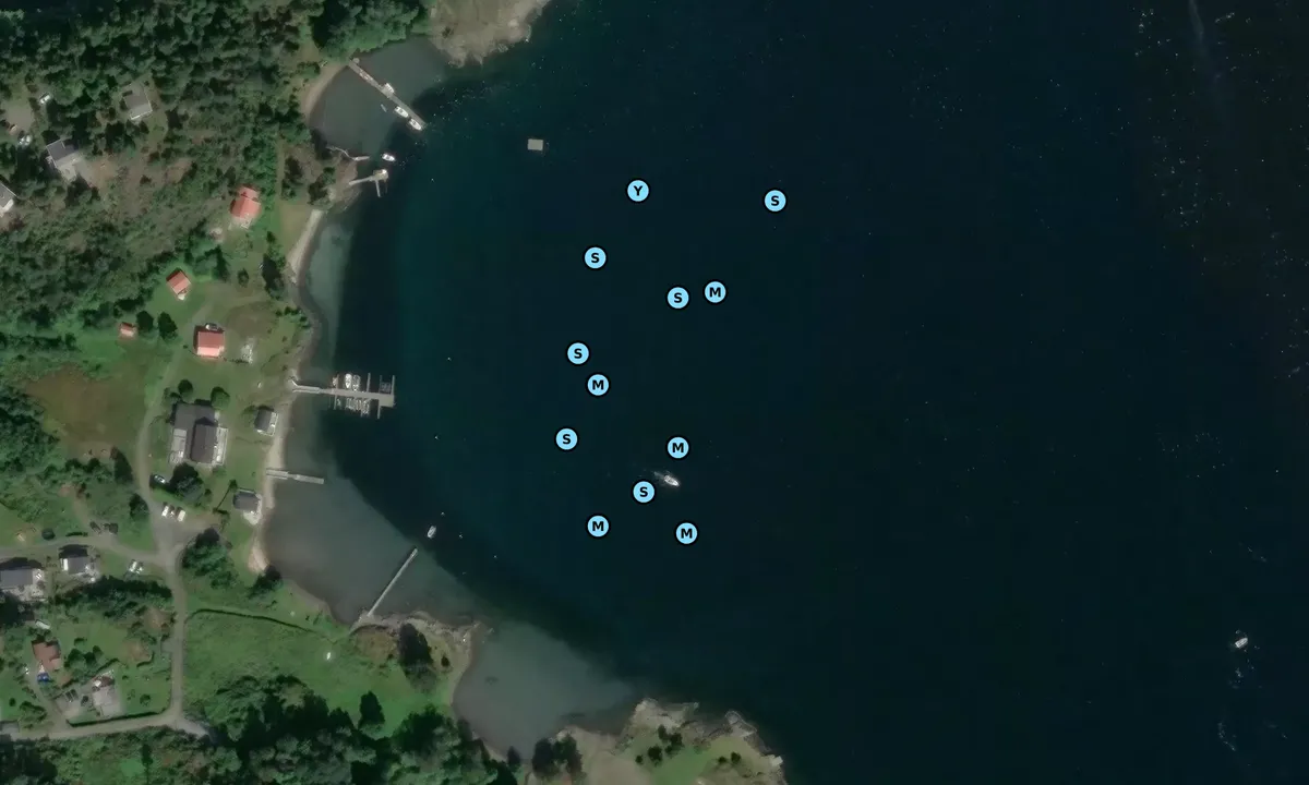 Satelite image of Hesteløkka