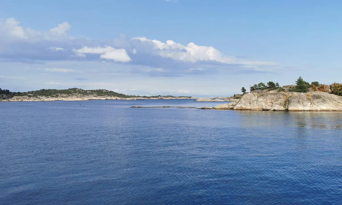 Hestholmbukta: Sett innenfra ankringsplassen og ut mot innseilinga. Sjekk kart - grunner som seilbåter ikke liker på babord side når du seiler inn. Står i annen havneguide at det er lagt ut ei moringsbøye i den sydlige bukta, men vi fant den ikke (13. aug 2021).