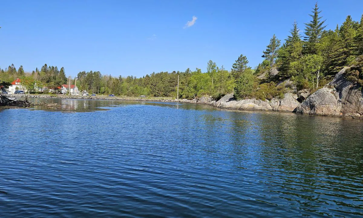 Hestholmen naturhavn: {"base": "no", "no": "Innl\u00f8pet sett fra innsiden og ut mot Kjeldsund.", "se": "Inloppet sett fr\u00e5n insidan och ut mot Kjeldsund.", "en": "The entrance seen from the inside out towards Kjeldsund.", "da": "Indl\u00f8bet set fra indersiden og ud mod Kjeldsund.", "fr": "L'entr\u00e9e vue de l'int\u00e9rieur vers Kjeldsund.", "de": "Die Einfahrt von innen heraus in Richtung Kjeldsund gesehen.", "es": "La entrada vista desde adentro hacia Kjeldsund.", "it": "L'ingresso visto dall'interno verso Kjeldsund.", "pt": "A entrada vista de dentro e para fora em dire\u00e7\u00e3o a Kjeldsund.", "nl": "Toegang gezien van binnenuit en naar buiten richting Kjeldsund.", "pl": "Wej\u015bcie widziane od wewn\u0105trz w kierunku Kjeldsund.", "uk": "\u0412\u0445\u0456\u0434 \u0432\u0438\u0434 \u0437\u0441\u0435\u0440\u0435\u0434\u0438\u043d\u0438 \u0456 \u043d\u0430\u0437\u043e\u0432\u043d\u0456 \u043d\u0430 \u041a\u044c\u0435\u043b\u044c\u0434\u0441\u0443\u043d\u0434.", "ro": "Intrarea v\u0103zut\u0103 din interior spre Kjeldsund.", "tr": "Limana giri\u015fin i\u00e7eriden d\u0131\u015far\u0131ya, Kjeldsund y\u00f6n\u00fcne do\u011fru g\u00f6r\u00fcn\u00fcm\u00fc.", "el": "\u0397 \u03b5\u03af\u03c3\u03bf\u03b4\u03bf\u03c2 \u03cc\u03c0\u03c9\u03c2 \u03c6\u03b1\u03af\u03bd\u03b5\u03c4\u03b1\u03b9 \u03b1\u03c0\u03cc \u03c4\u03bf \u03b5\u03c3\u03c9\u03c4\u03b5\u03c1\u03b9\u03ba\u03cc \u03ba\u03b1\u03b9 \u03c0\u03c1\u03bf\u03c2 \u03c4\u03bf Kjeldsund.", "cs": "Vjezd vid\u011bn\u00fd zevnit\u0159 sm\u011brem ven na Kjeldsund.", "hu": "A bej\u00e1rat bel\u00fclr\u0151l n\u00e9zve, kil\u00e1t\u00e1ssal Kjeldsund fel\u00e9.", "fi": "Sis\u00e4\u00e4nk\u00e4ynti katsottuna sis\u00e4lt\u00e4 ulosp\u00e4in kohti Kjeldsundia.", "bg": "\u0412\u0445\u043e\u0434\u044a\u0442, \u0432\u0438\u0434\u044f\u043d \u043e\u0442\u0432\u044a\u0442\u0440\u0435 \u043a\u044a\u043c \u041a\u044c\u0435\u043b\u0434\u0441\u0443\u043d\u0434.", "sr": "\u0418\u0437\u0434\u0443\u043f \u0433\u043b\u0435\u0434\u0430\u0458\u0443\u045b\u0438 \u0438\u0437\u043d\u0443\u0442\u0440\u0430 \u043a\u0430 \u041a\u0458\u0435\u043b\u0434\u0441\u0443\u043d\u0434-\u0443.", "et": "Sissep\u00e4\u00e4s vaadatuna seest v\u00e4lja Kjeldsundi poole.", "lv": "Iepl\u016bde skatoties no iek\u0161puses uz \u0101rpusi pret Kjeldsund.", "lt": "\u012eplaukimas matomas i\u0161 vidaus ir i\u0161 i\u0161or\u0117s link Kjeldsundo."}