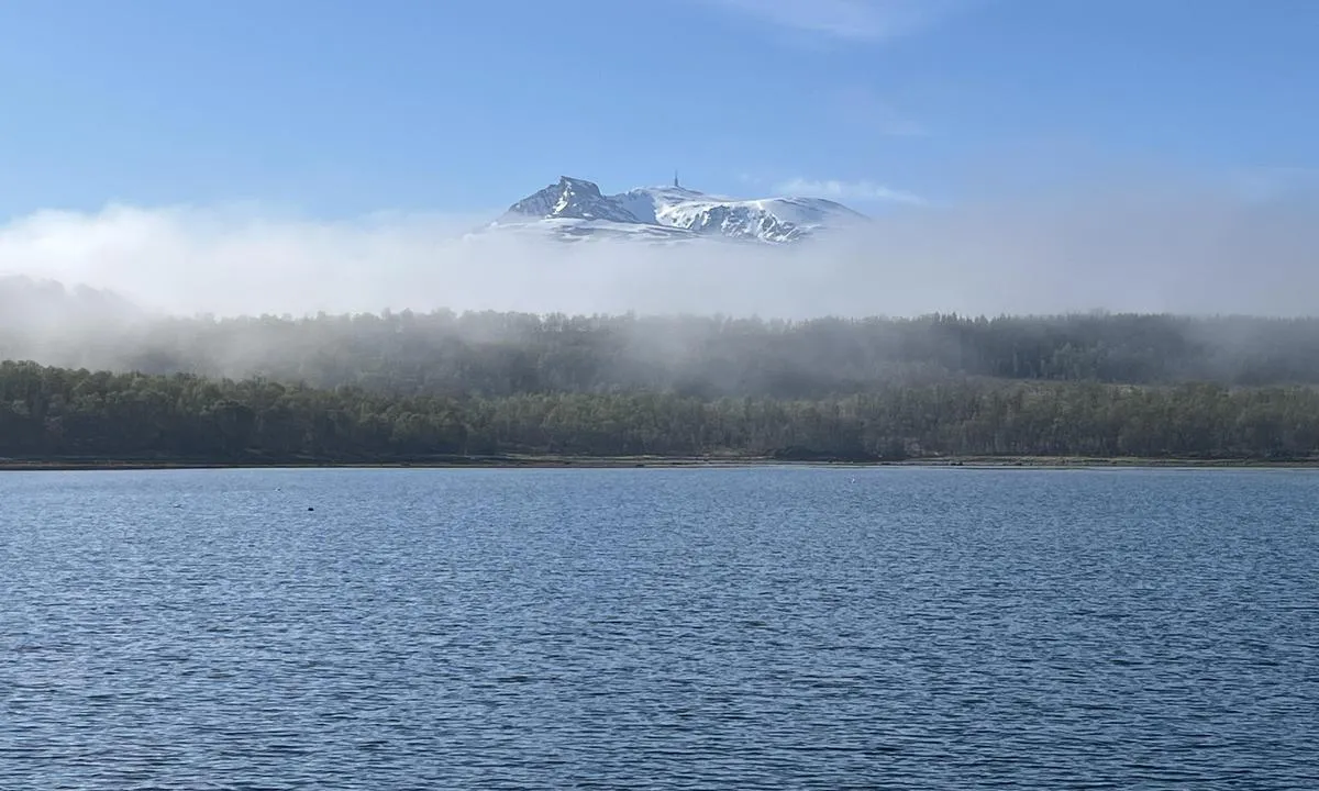 Hestøy