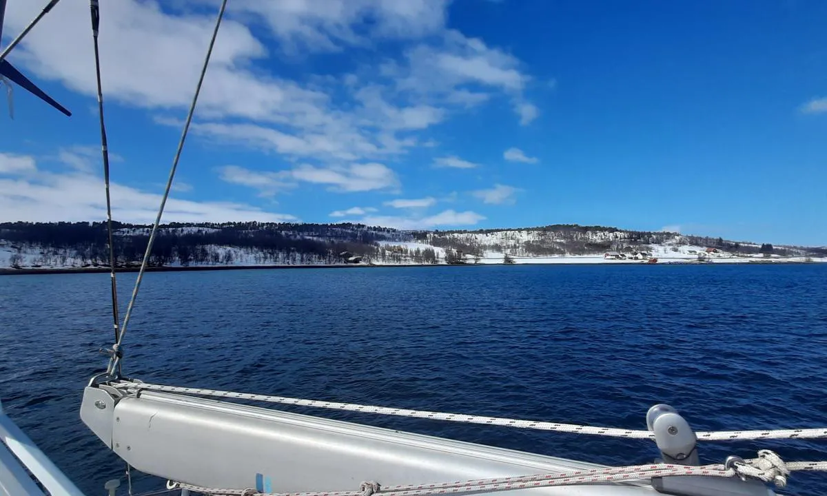 Hestøy