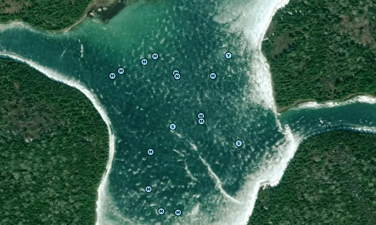 Satelite image of Heywood Island