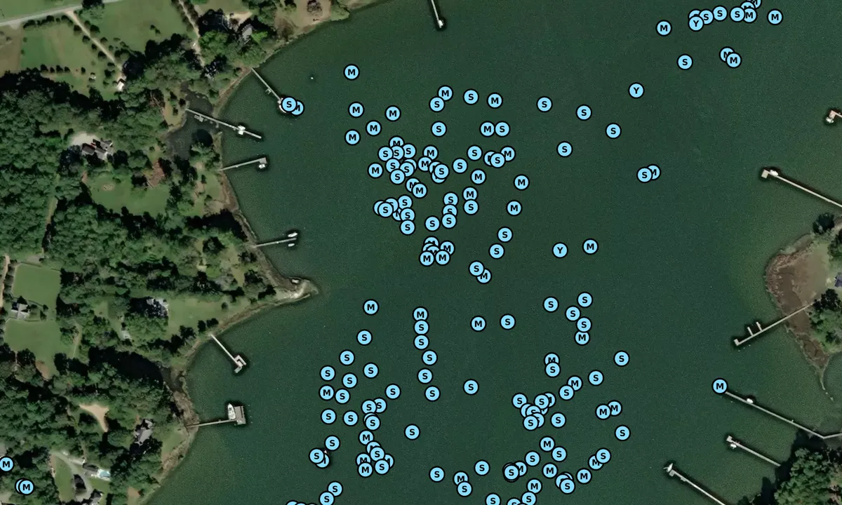 Satelite image of Hicks Wharf