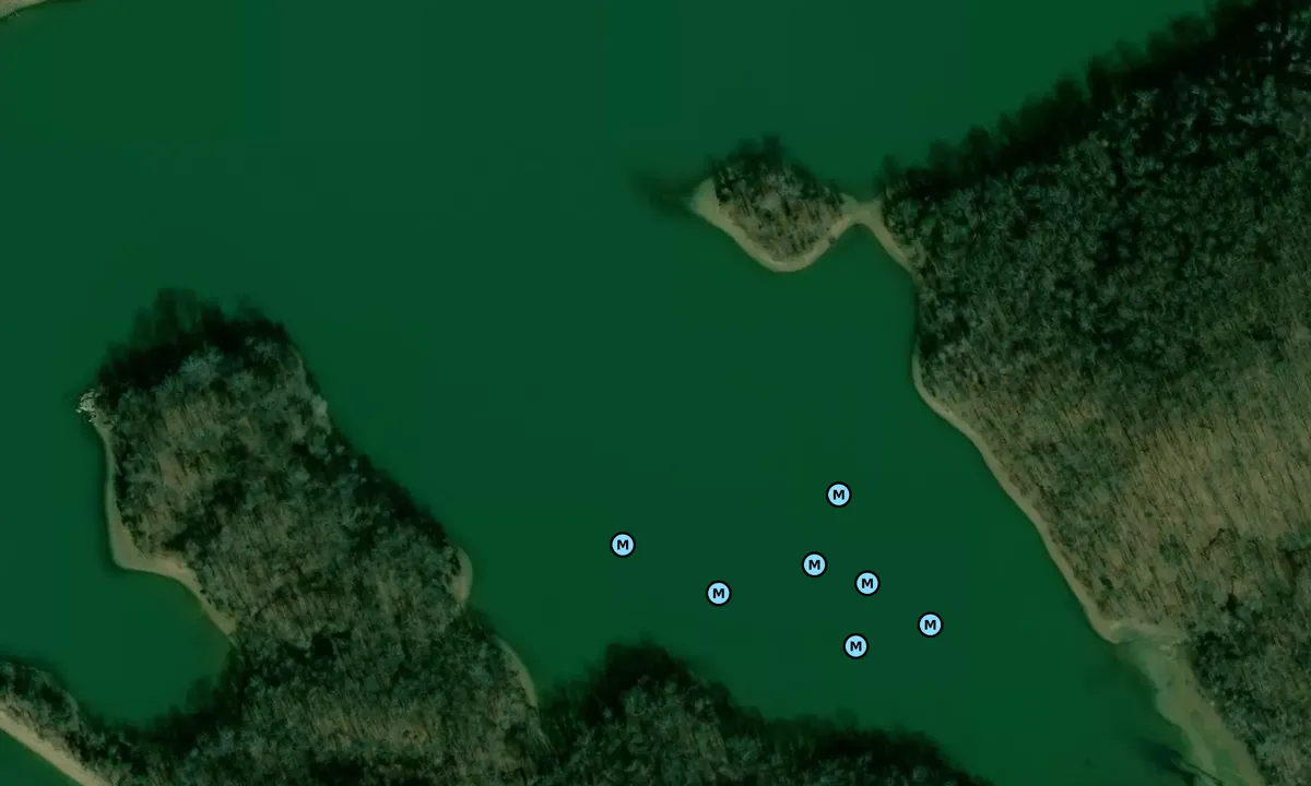Satelite image of Higgins Bay and Ewes