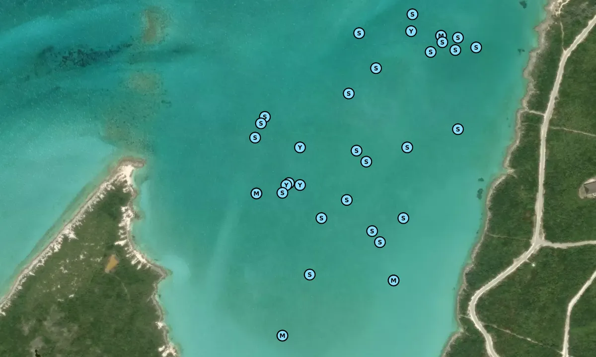 Satelite image of Highborne Cay North