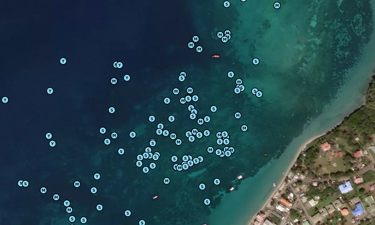 Satelite image of Hillborough Bay
